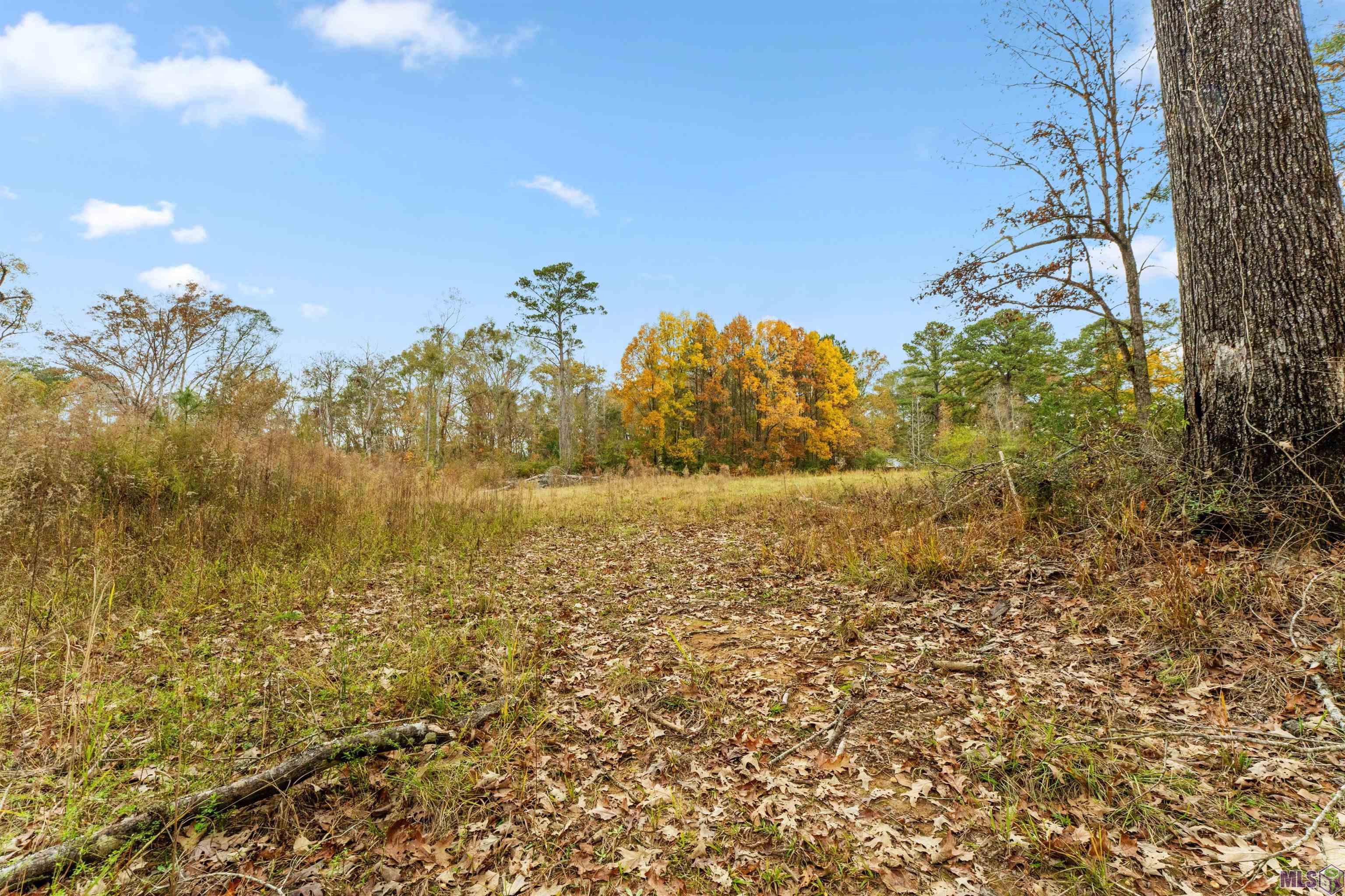 5498 Old Liberty Road North Clinton, LA 70722 - Photo 5 of 21