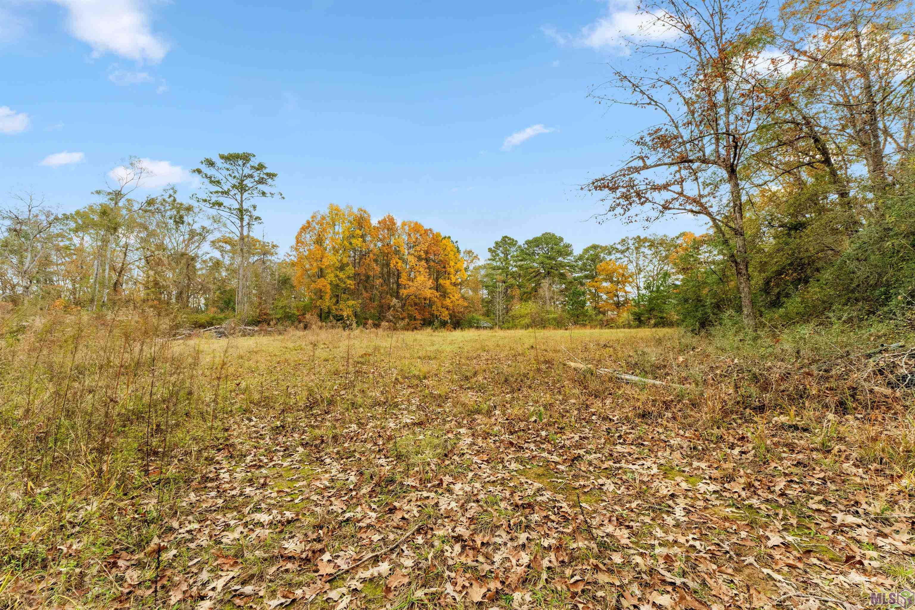 5498 Old Liberty Road North Clinton, LA 70722 - Photo 6 of 21