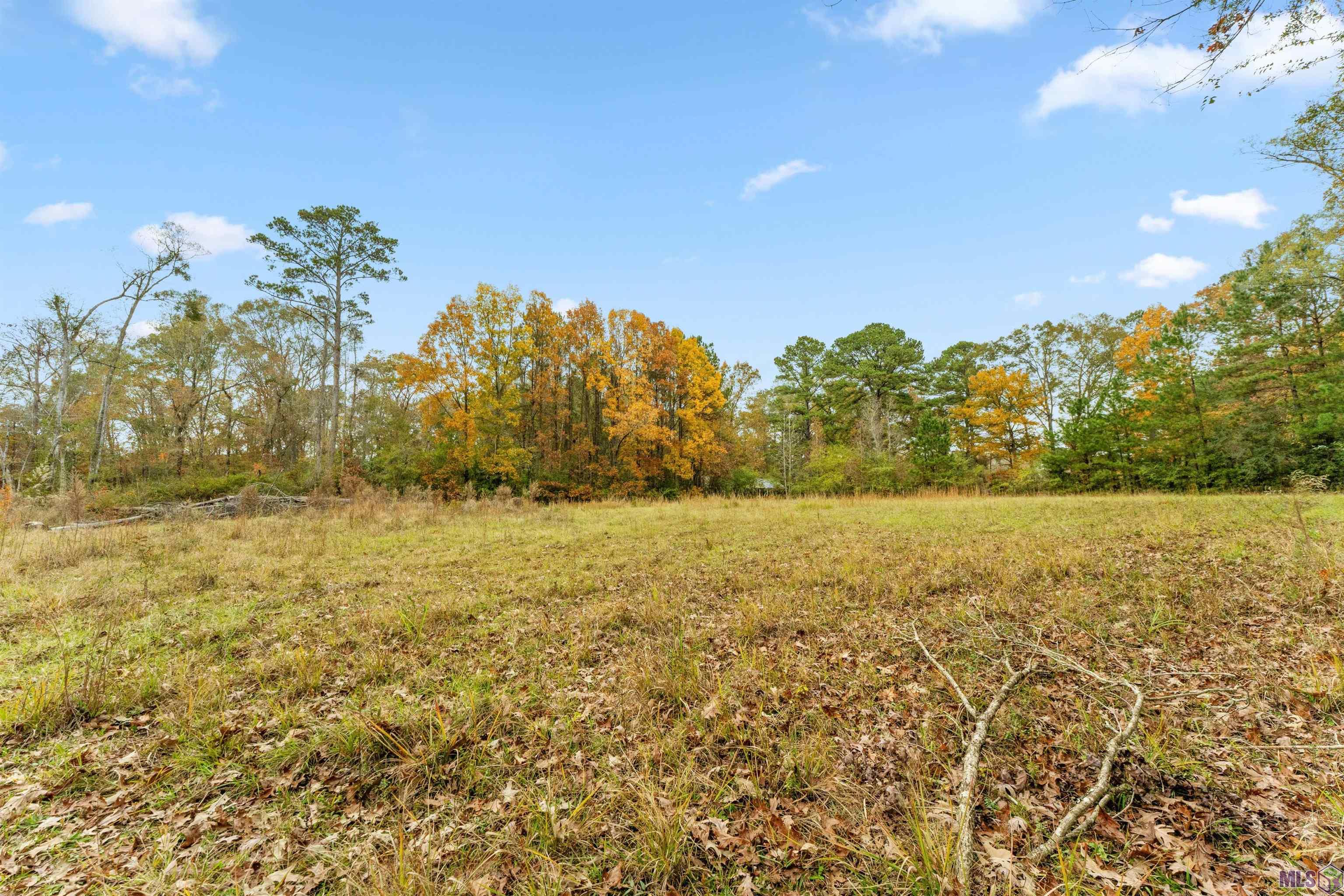 5498 Old Liberty Road North Clinton, LA 70722 - Photo 8 of 21