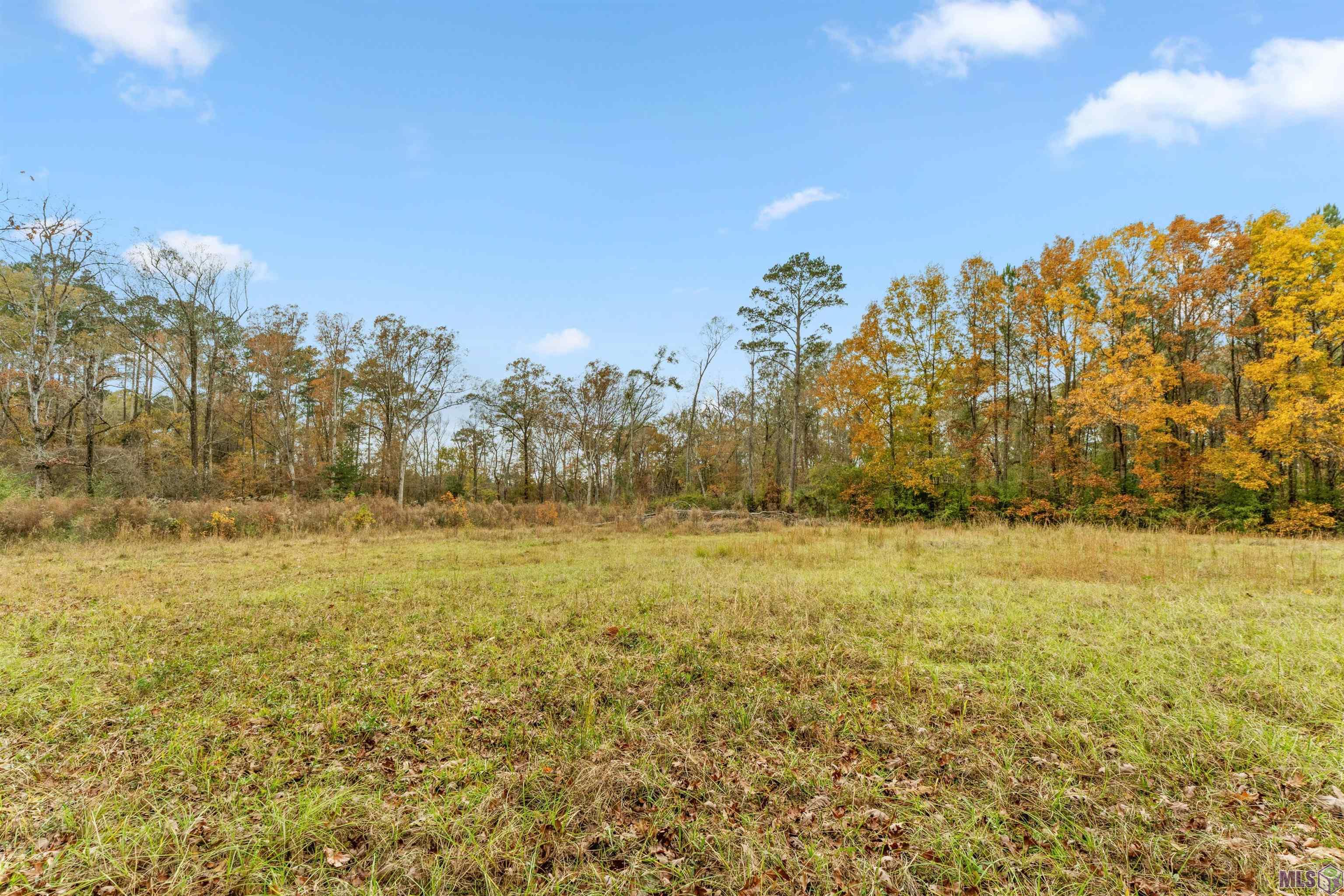 5498 Old Liberty Road North Clinton, LA 70722 - Photo 9 of 21