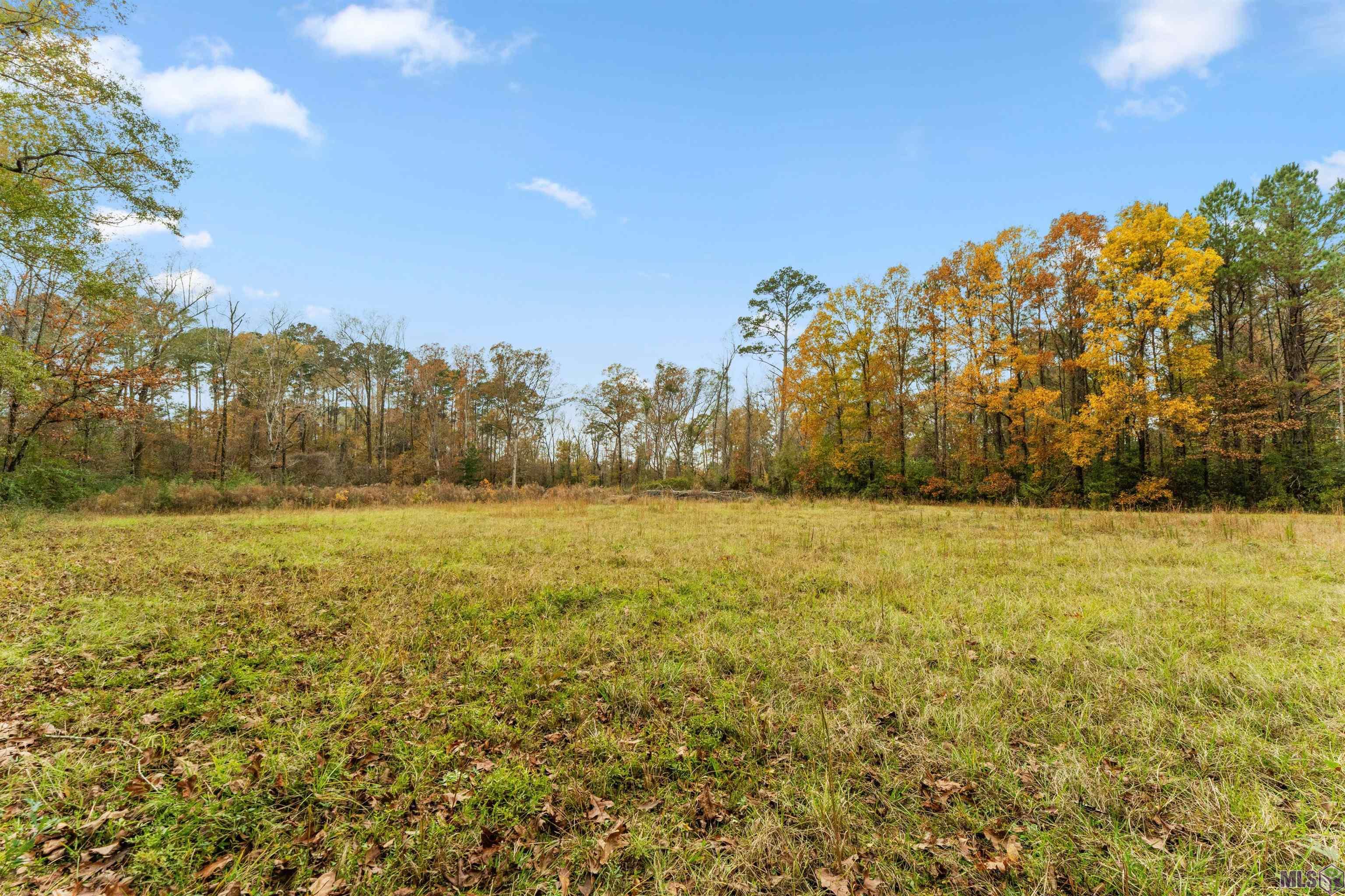 5498 Old Liberty Road North Clinton, LA 70722 - Photo 10 of 21