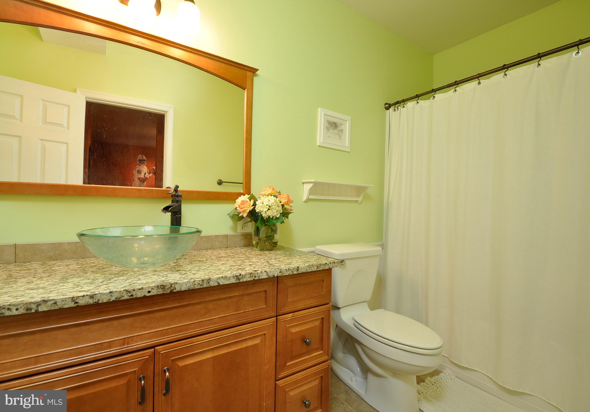 107 Revell Road Fredericksburg, VA 22405 - Photo 41 of 43 Full Bathroom Basement
