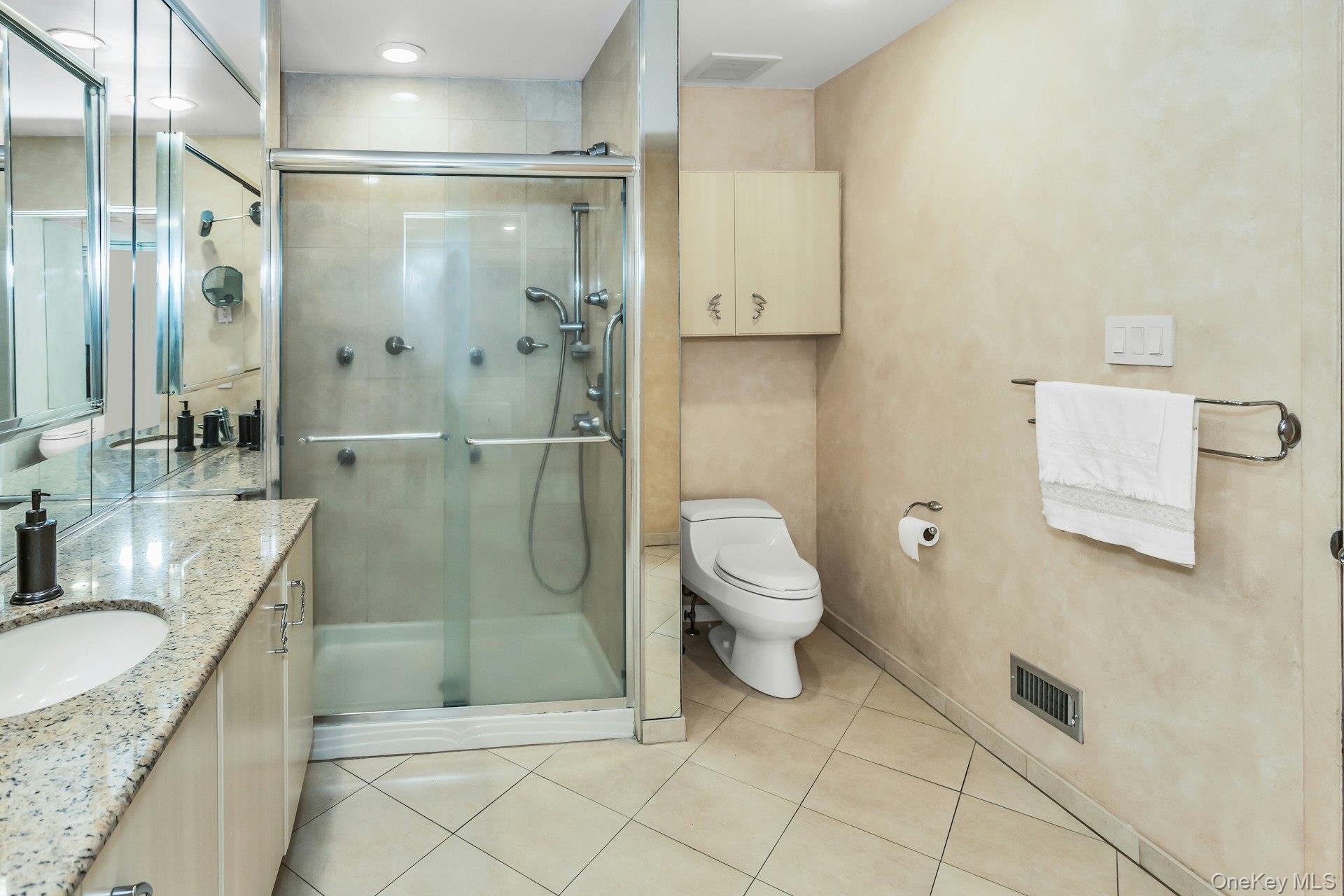 232 Linnet Court Manhasset, NY 11030 - Photo 15 of 28 a bathroom with a granite countertop sink a toilet and shower
