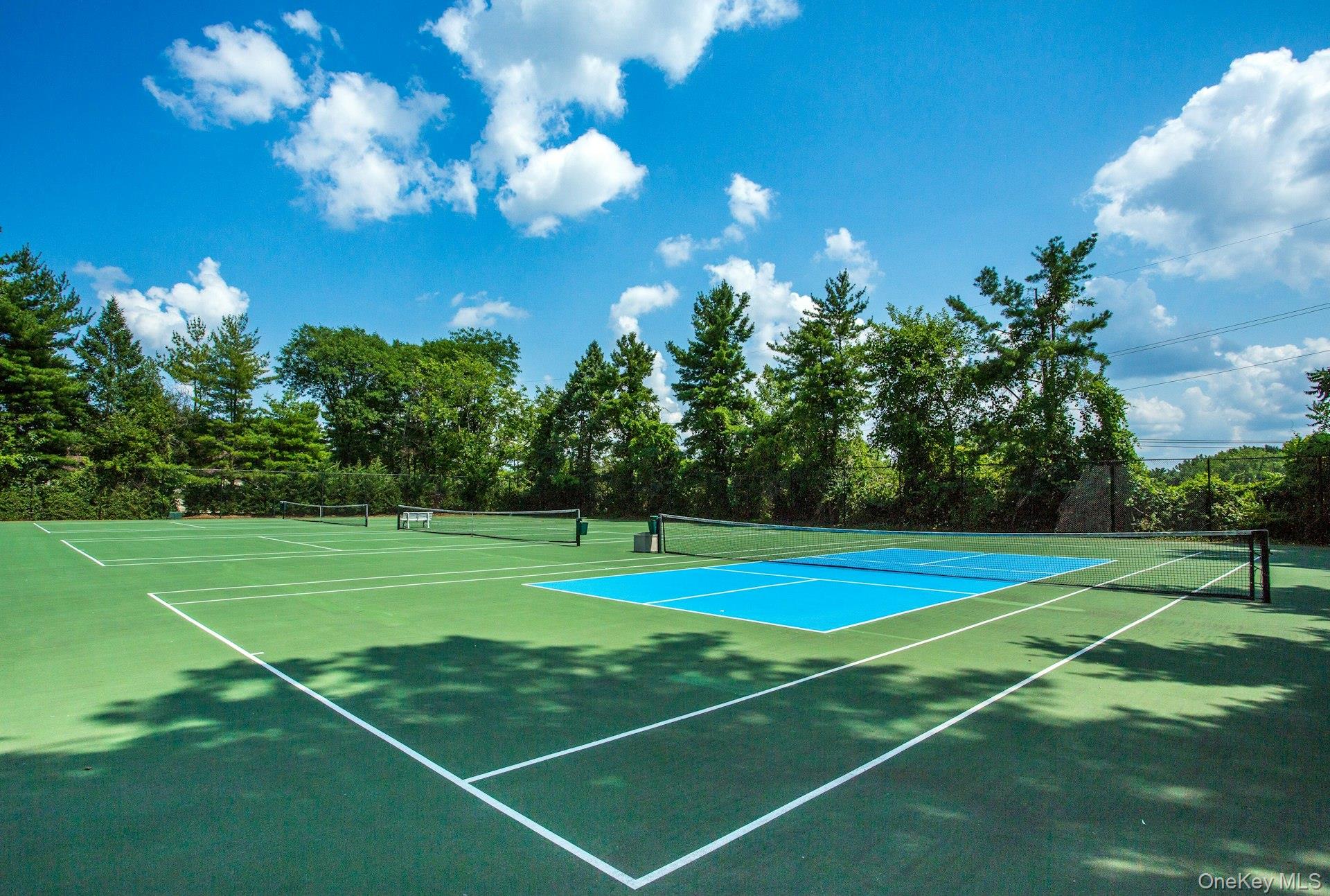232 Linnet Court Manhasset, NY 11030 - Photo 26 of 28 a view of a tennis court