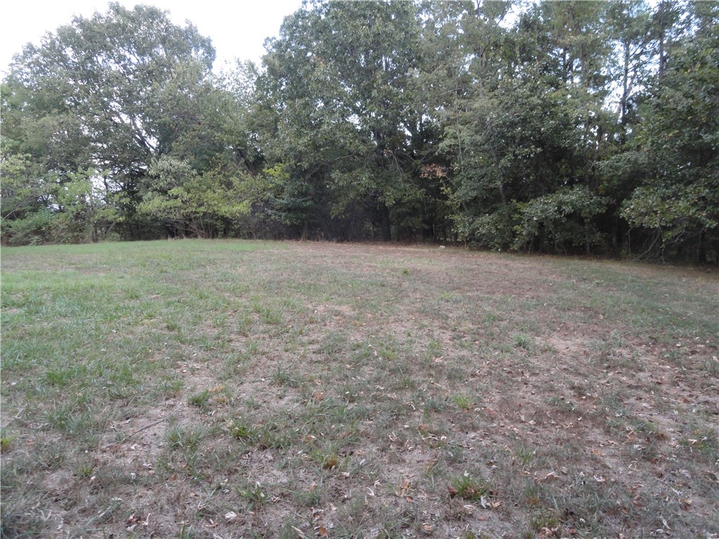 233 Piney Road Marshall, AR 72650 - Photo 15 of 58 Gallery Image 15