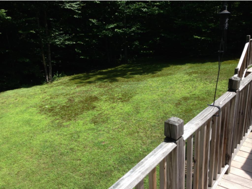 48 Garmish Road Conway, NH 03818 - Photo 7 of 25
