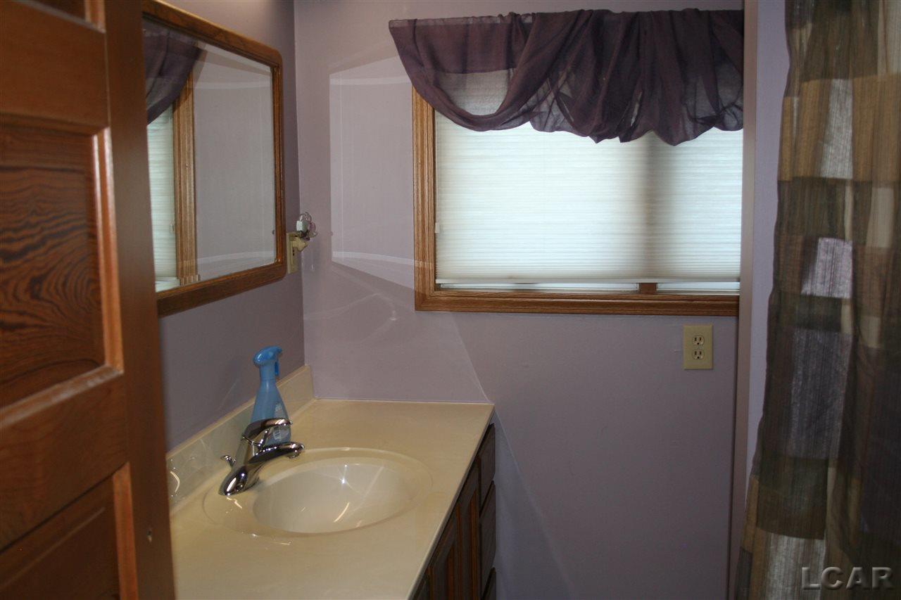 7348 Riga Highway Riga, MI 49276 - Photo 40 of 54