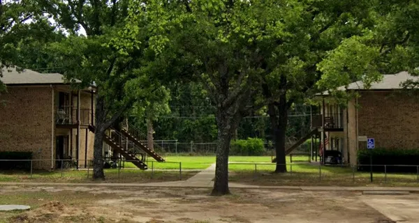 a view of a park with large trees