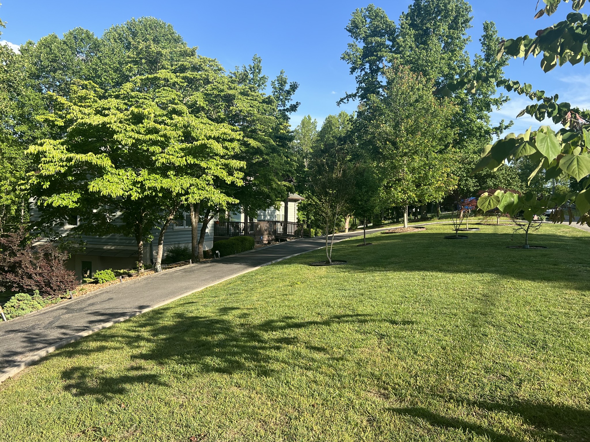 187 Rigsbys Ridge Lynchburg, TN 37352 - Photo 3 of 43