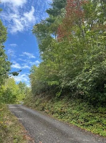 a view of a city and mountains