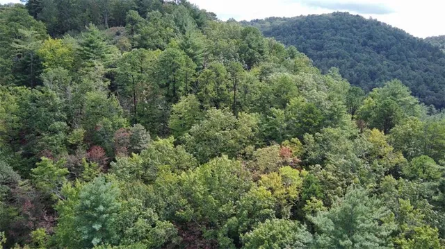 an aerial view of residential house with outdoor space and trees all around