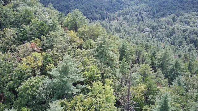 a view of a city and mountains