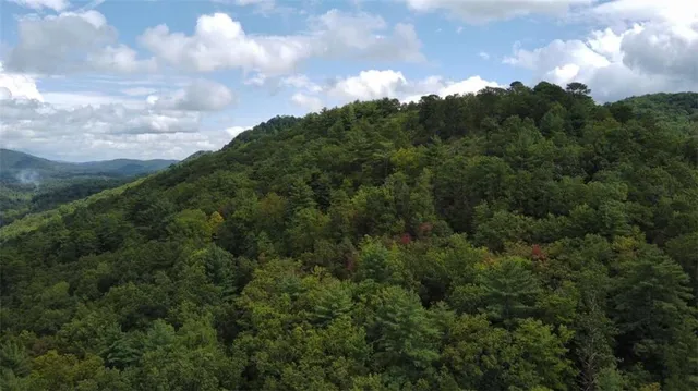 a view of a bunch of trees in a field