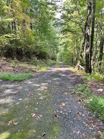 a big yard with lots of green space and house