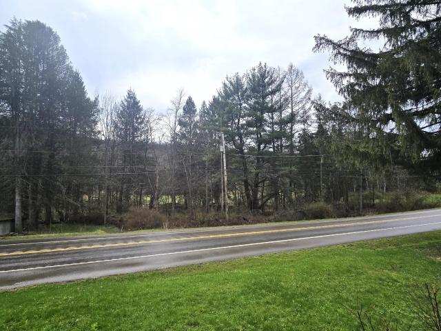 48 Wildcat Road Kane, PA 16735 - Photo 15 of 55 Gallery Image 15
