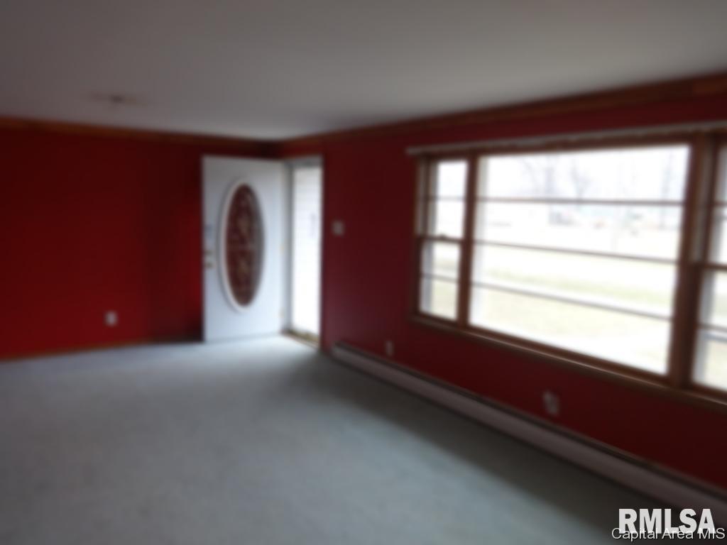 401 Mark Street Manchester, IL 62082 - Photo 6 of 8