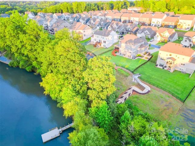 a view of a tree with a yard