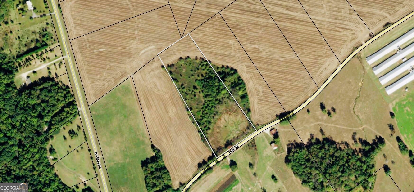 0 Lowe Road Comer, GA 30629 - Photo 1 of 10 a close up of a plant