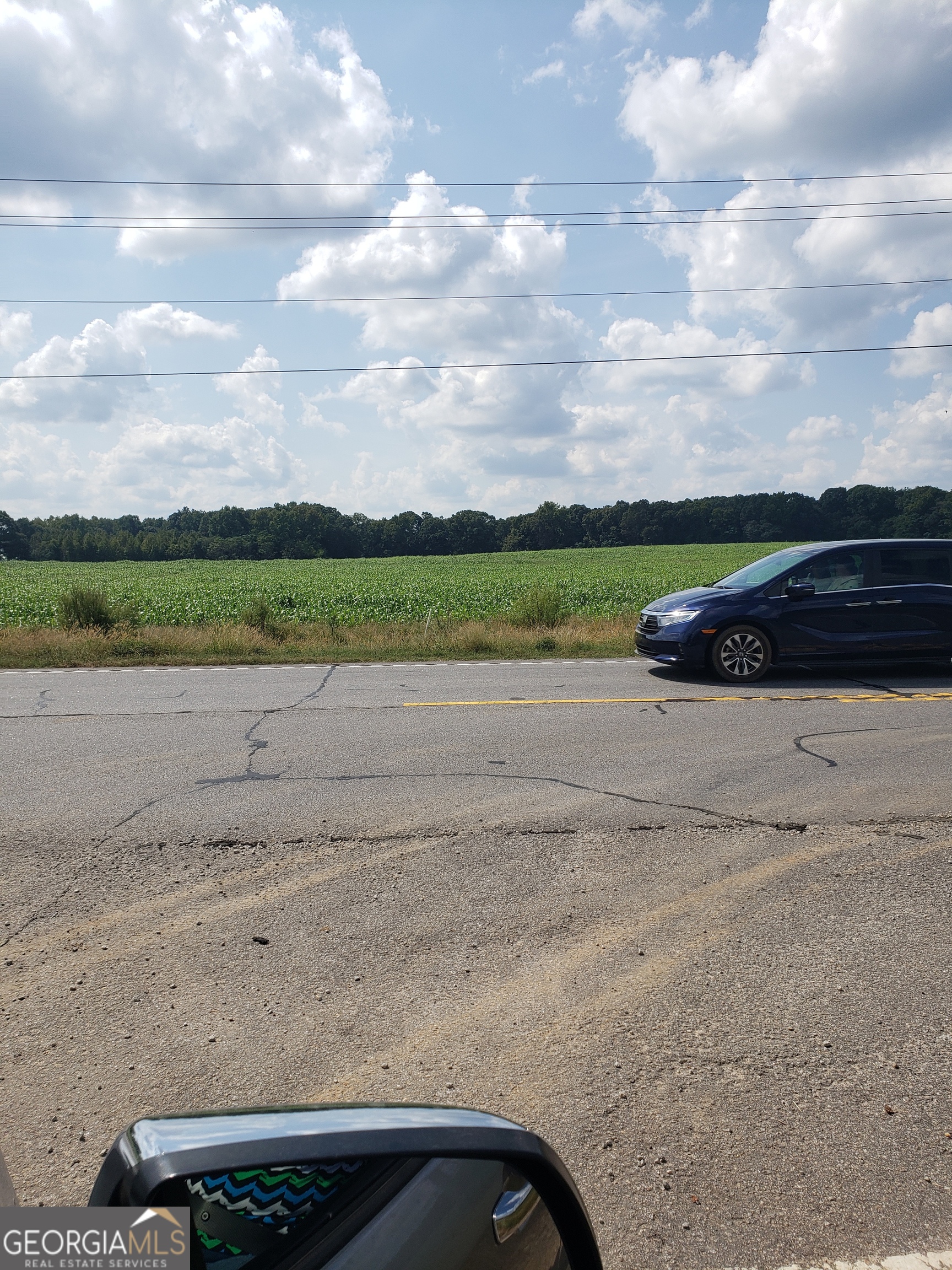 a view of a lake with beach and large trees
