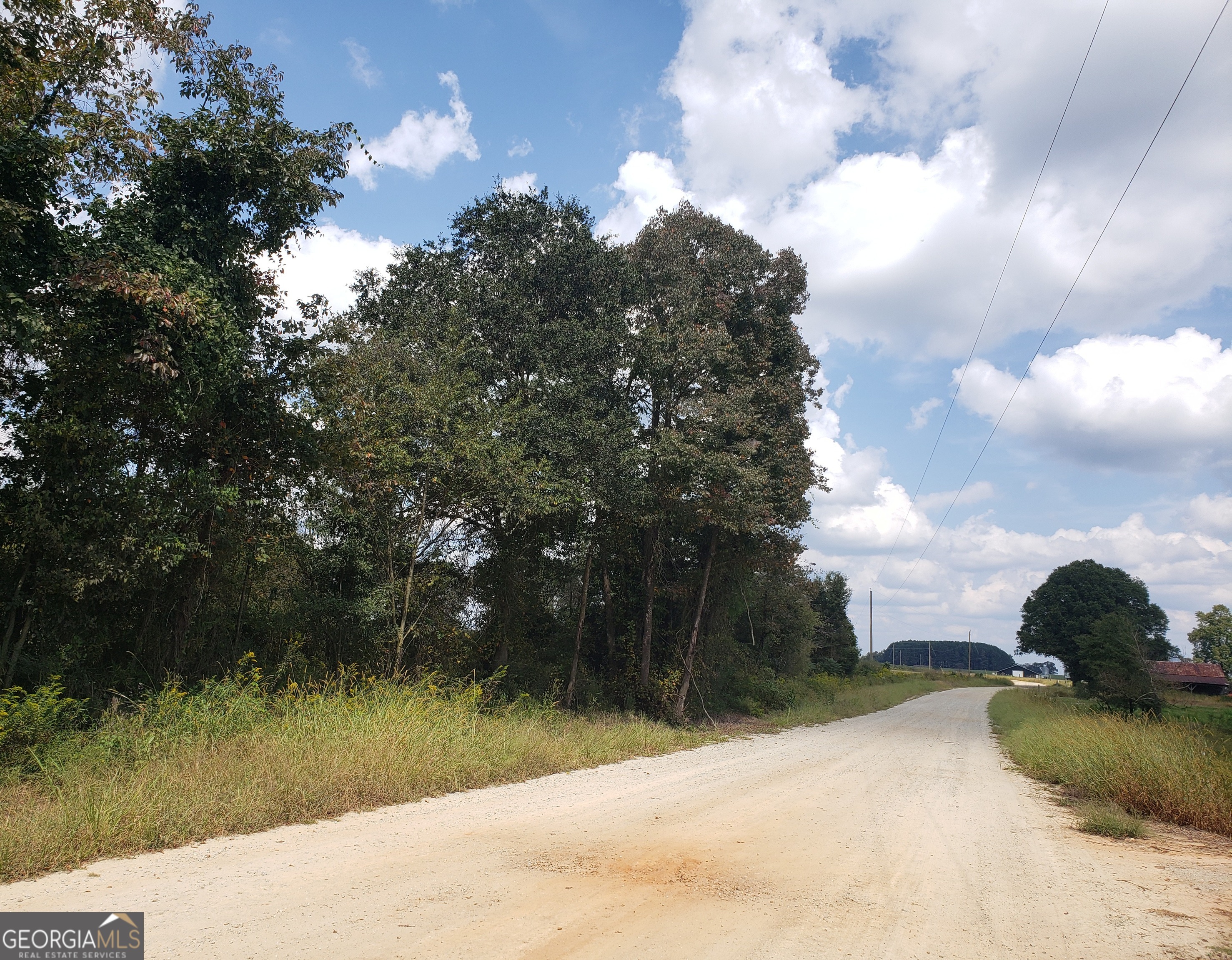 0 Lowe Road Comer, GA 30629 - Photo 3 of 10 a view of a yard in a yard