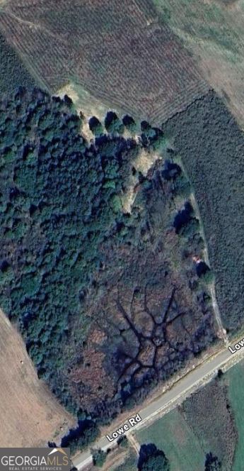 0 Lowe Road Comer, GA 30629 - Photo 8 of 10 a view of a yard