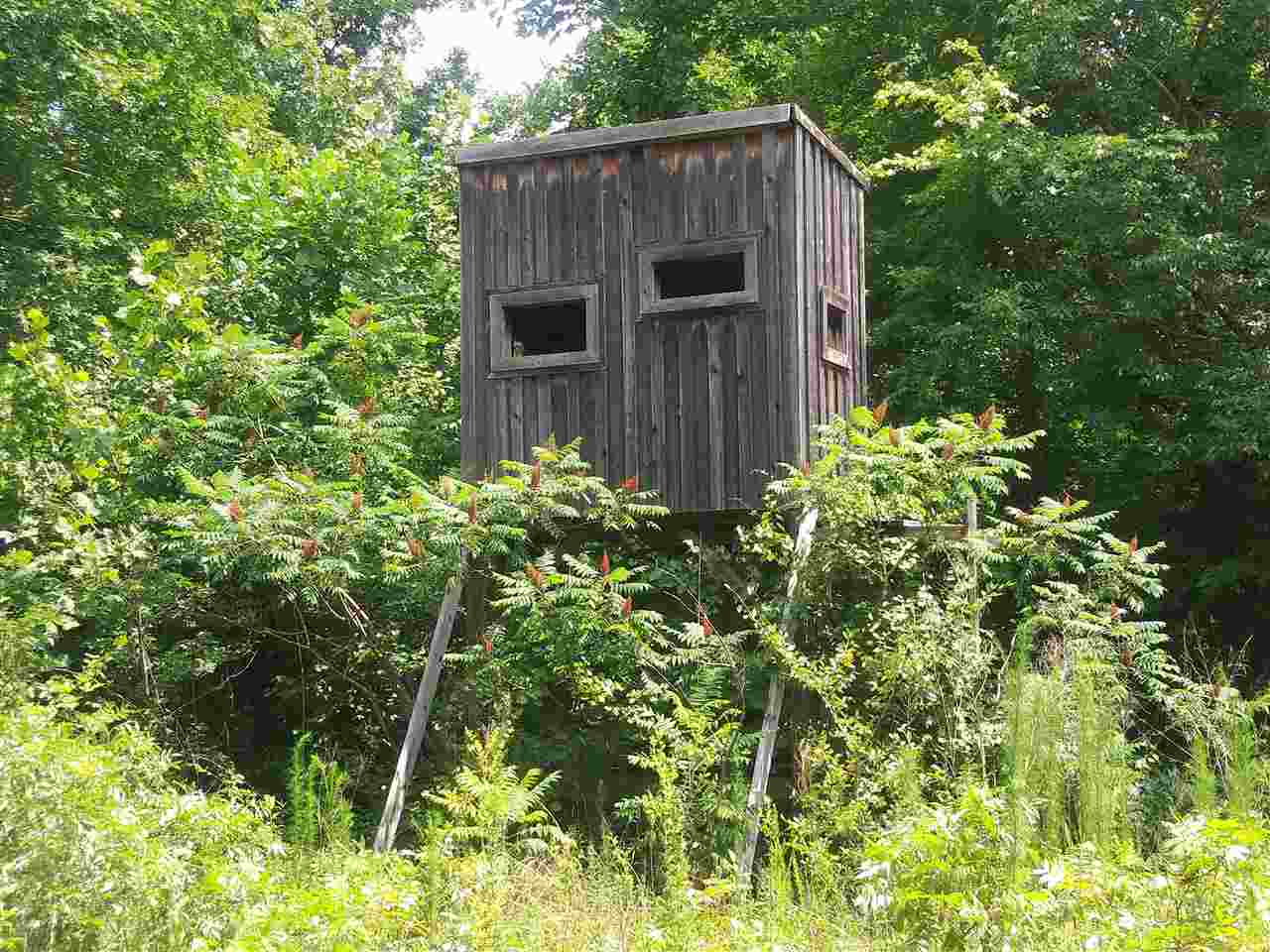 0 Burnt Church Road Savannah, TN 38372 - Photo 1 of 10 Gallery Image 1