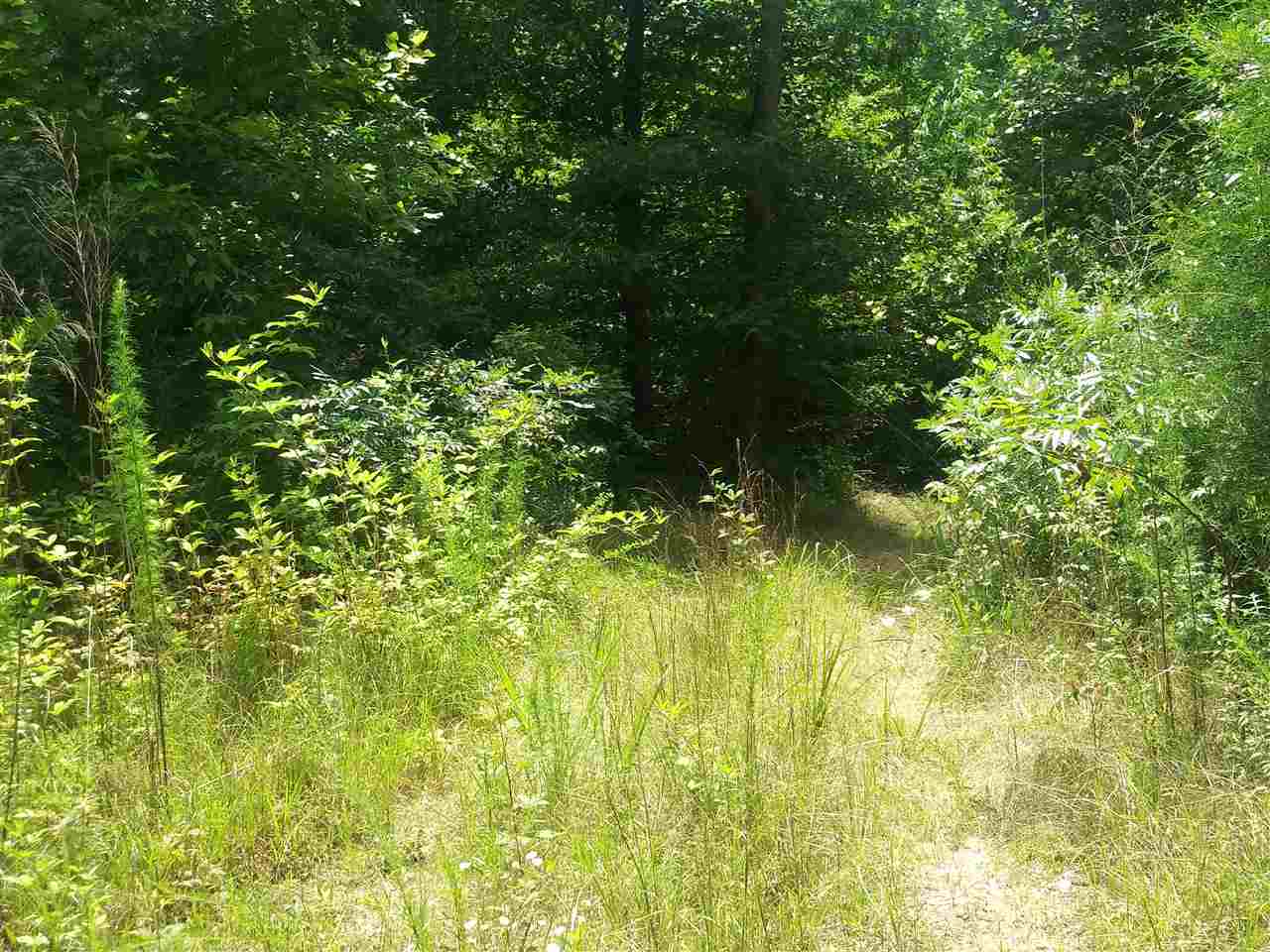 0 Burnt Church Road Savannah, TN 38372 - Photo 3 of 10 Gallery Image 3