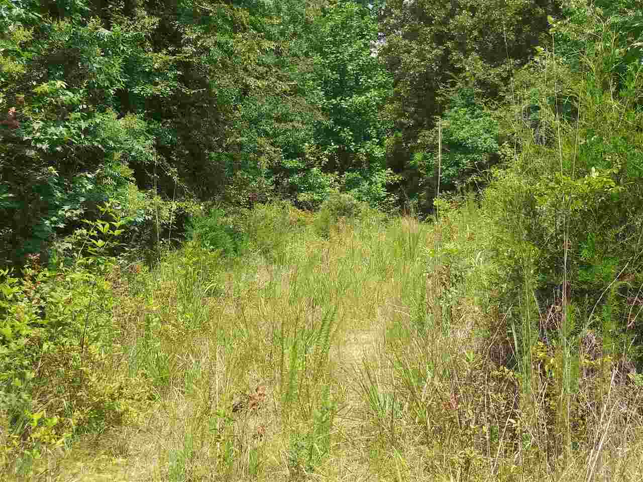 0 Burnt Church Road Savannah, TN 38372 - Photo 4 of 10 Gallery Image 4
