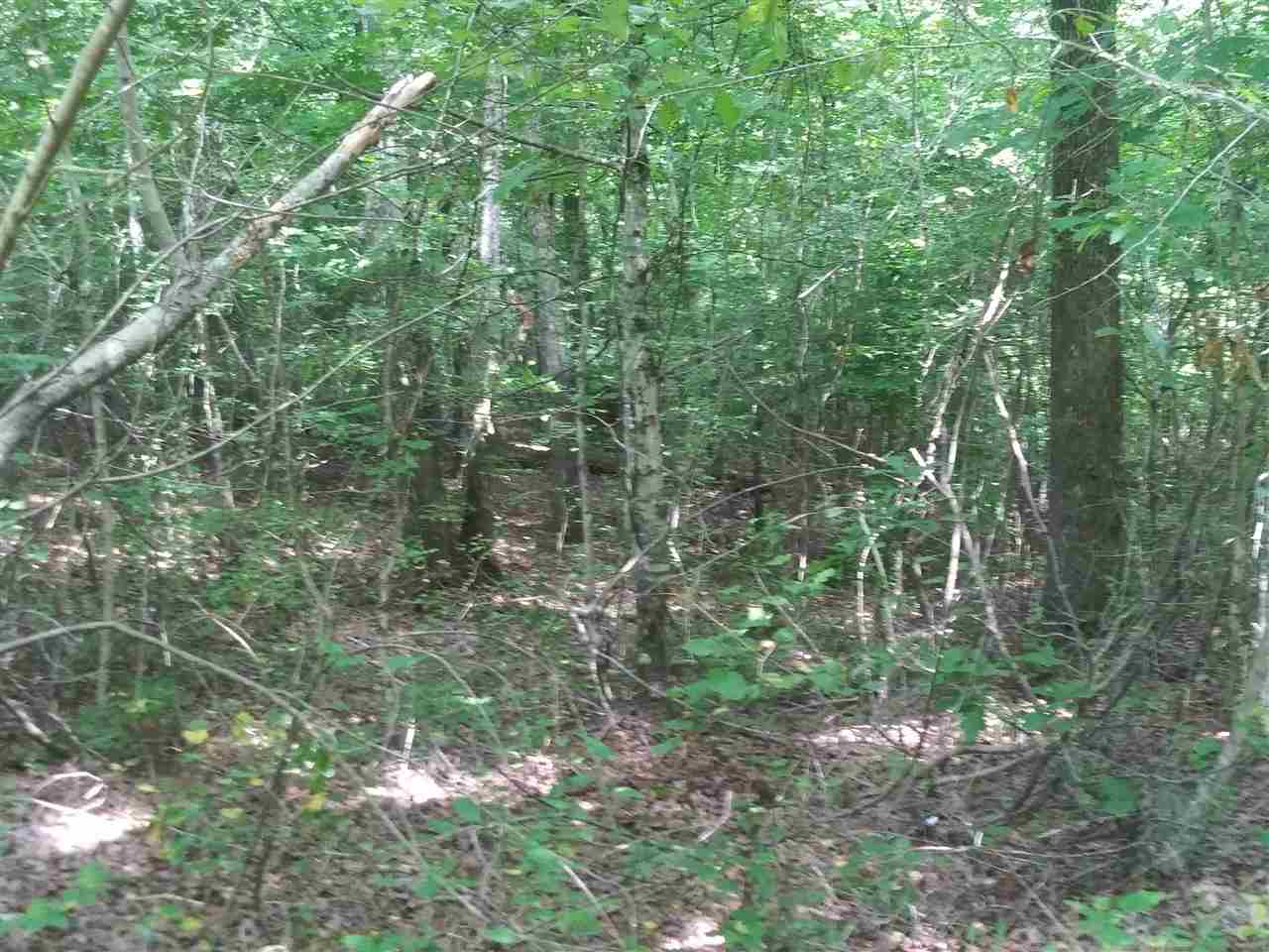 0 Burnt Church Road Savannah, TN 38372 - Photo 5 of 10 Gallery Image 5