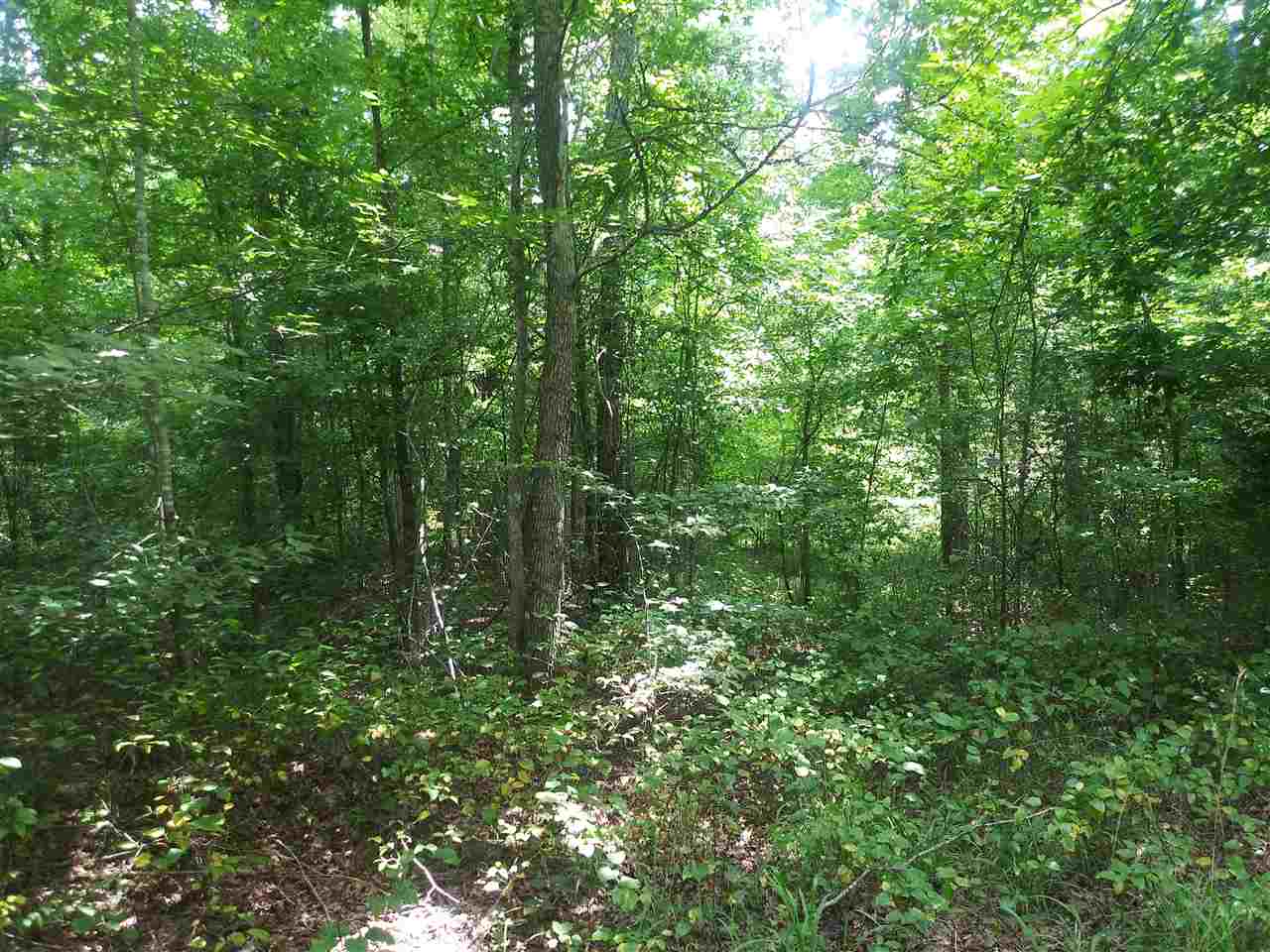 0 Burnt Church Road Savannah, TN 38372 - Photo 6 of 10 Gallery Image 6
