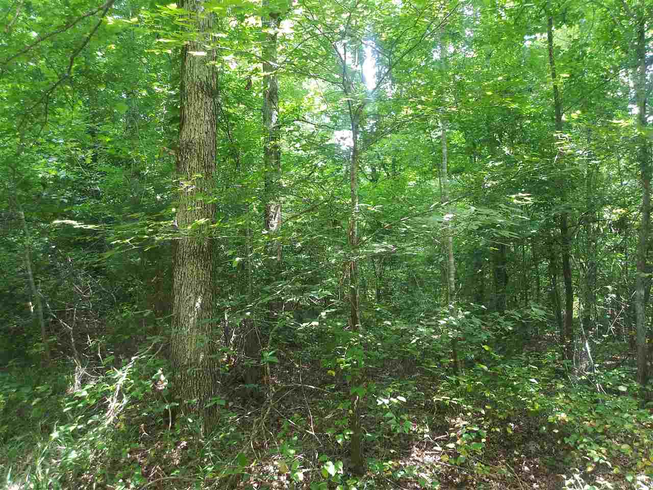 0 Burnt Church Road Savannah, TN 38372 - Photo 7 of 10 Gallery Image 7