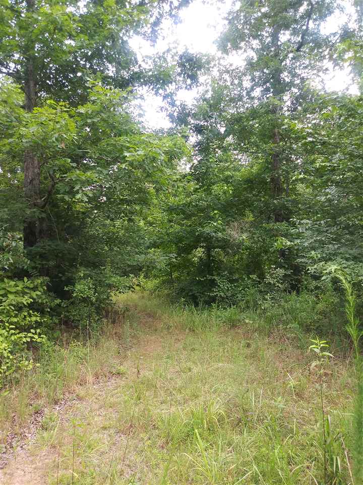 0 Burnt Church Road Savannah, TN 38372 - Photo 8 of 10 Gallery Image 8
