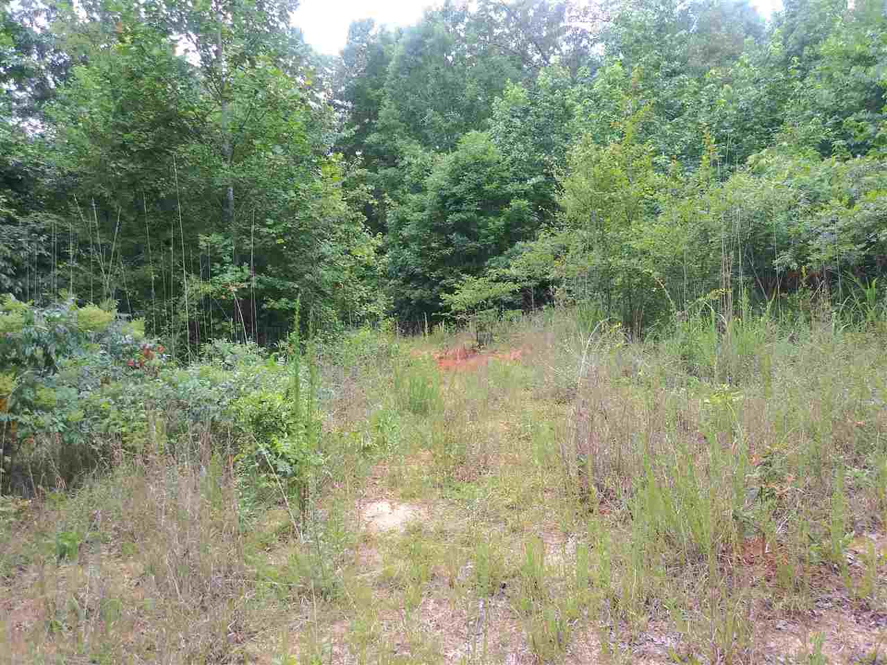 0 Burnt Church Road Savannah, TN 38372 - Photo 9 of 10 Gallery Image 9