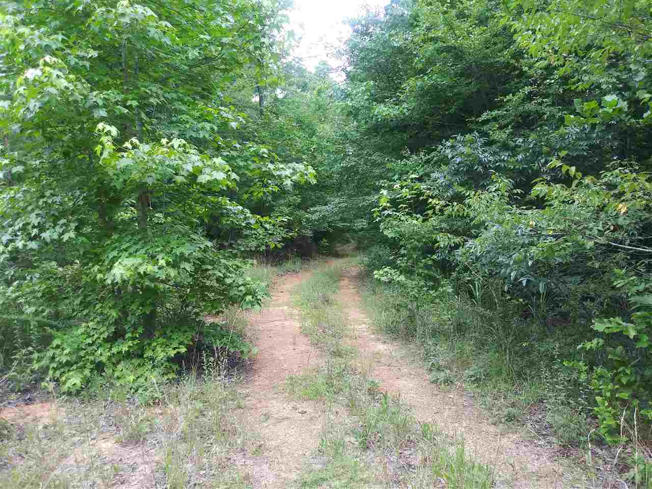 0 Burnt Church Road Savannah, TN 38372 - Photo 10 of 10 Gallery Image 10