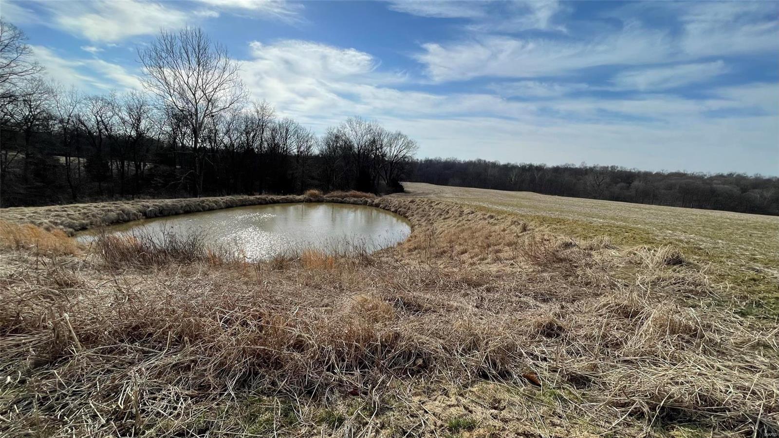 4180 Perdy Road Chester, IL 62233 - Photo 30 of 63