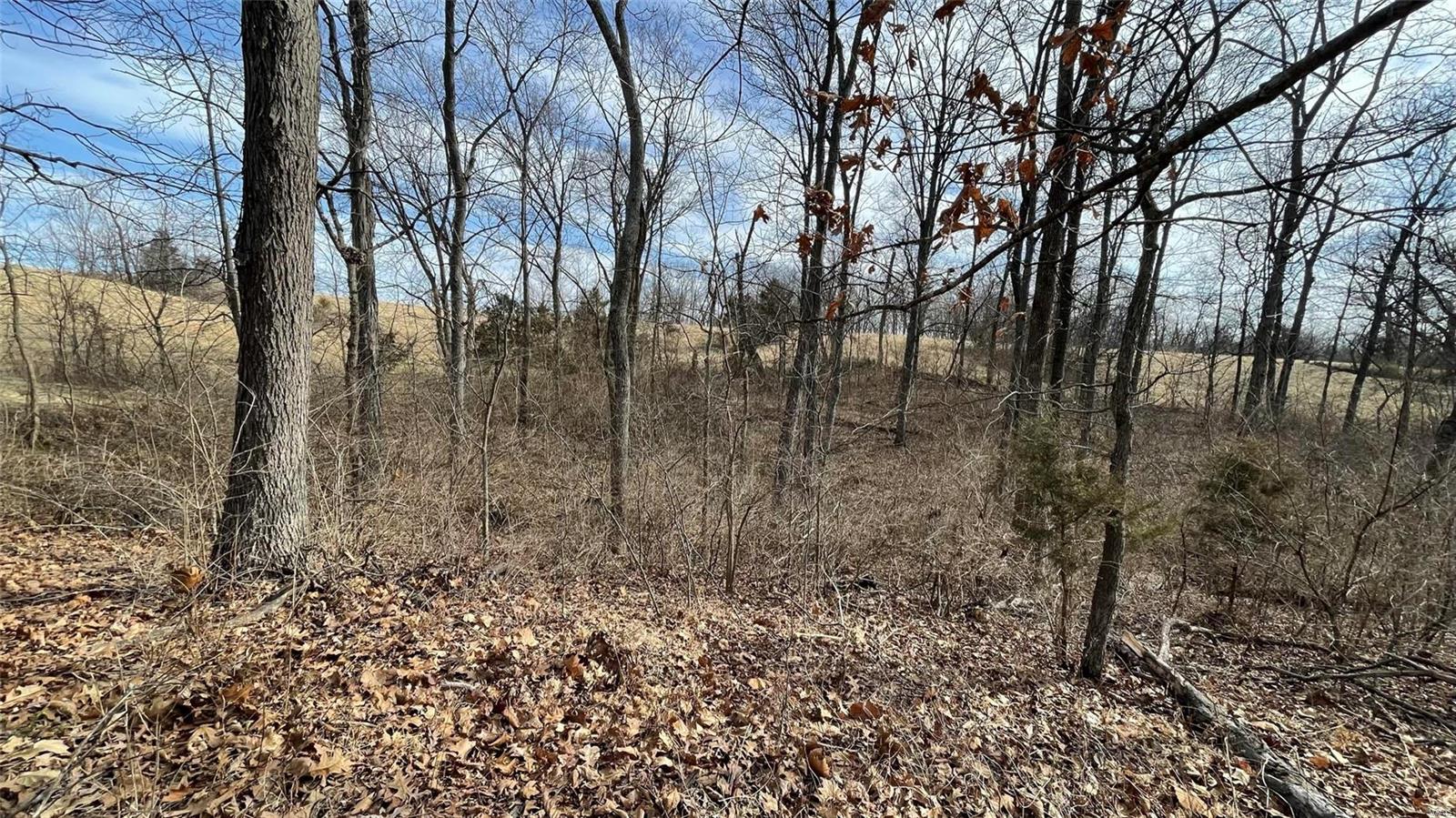 4180 Perdy Road Chester, IL 62233 - Photo 33 of 63