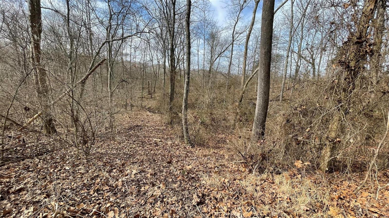 4180 Perdy Road Chester, IL 62233 - Photo 42 of 63