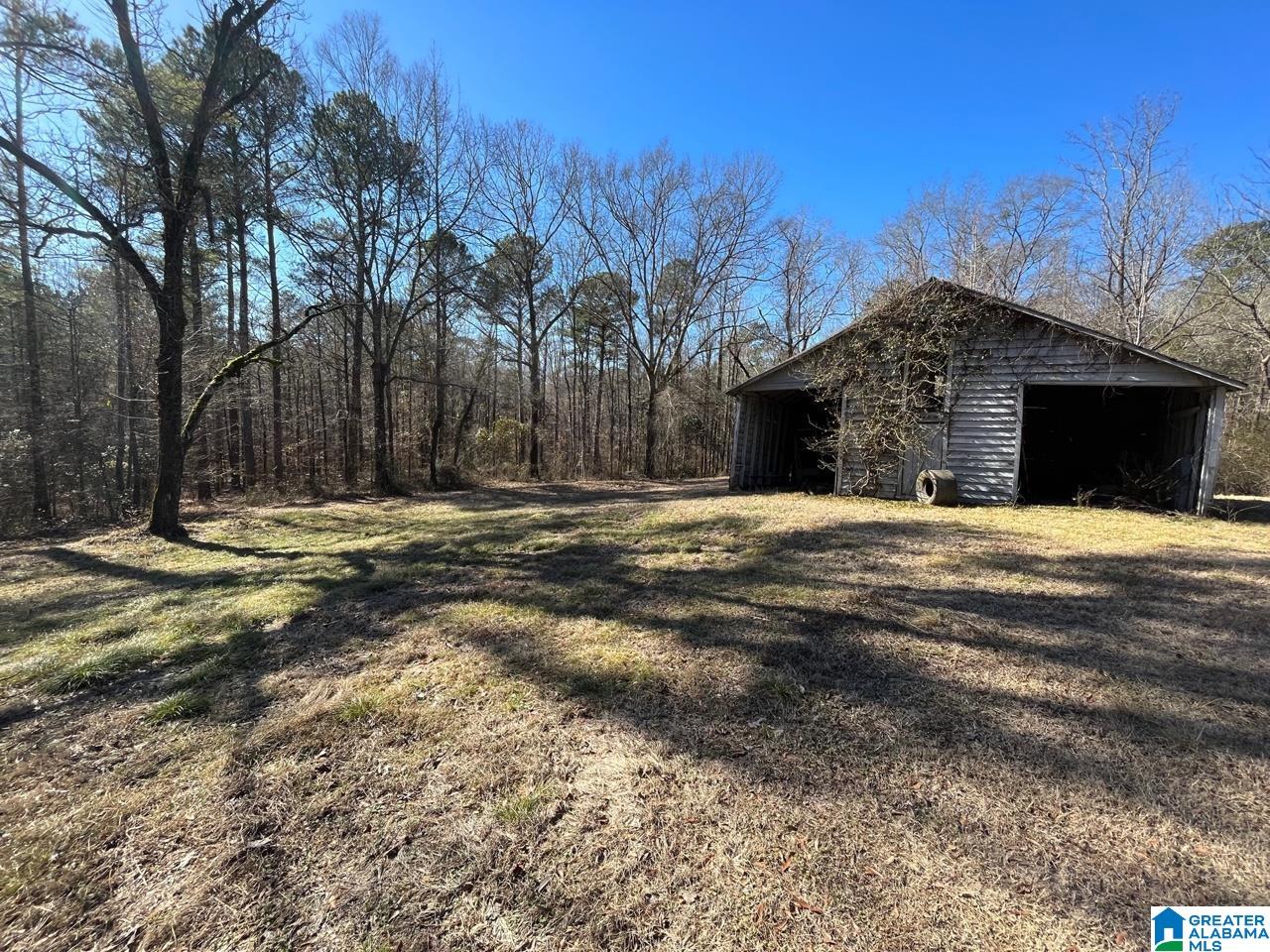 45535 Highway 17 Vernon, AL 35592 - Photo 10 of 15