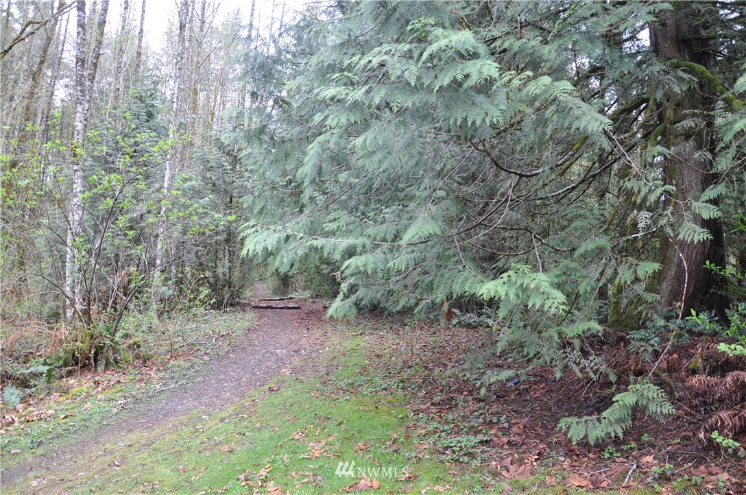 14-xx Roy Road Bellingham, WA 98229 - Photo 1 of 22 Gallery Image 1