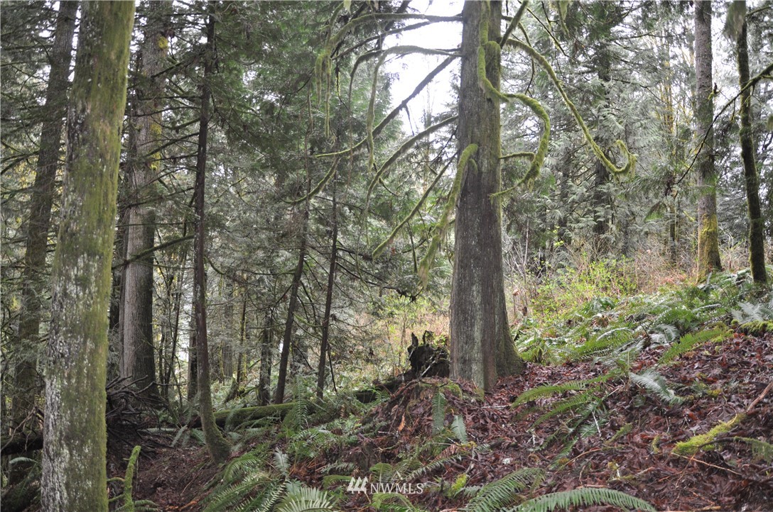 14-xx Roy Road Bellingham, WA 98229 - Photo 7 of 22 Gallery Image 7