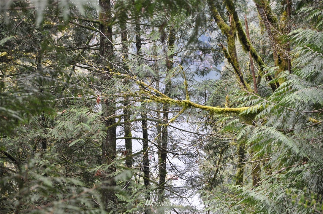 14-xx Roy Road Bellingham, WA 98229 - Photo 9 of 22 Gallery Image 9