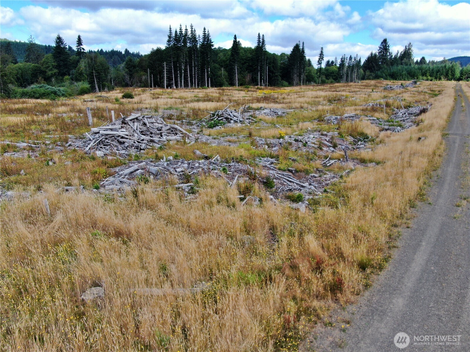 -off Of North River Road Cosmopolis, WA 98537 - Photo 1 of 14 Gallery Image 1