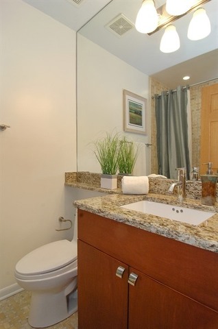 913 West Irving Park Road, Unit 1E Chicago, IL 60613 - Photo 13 of 20