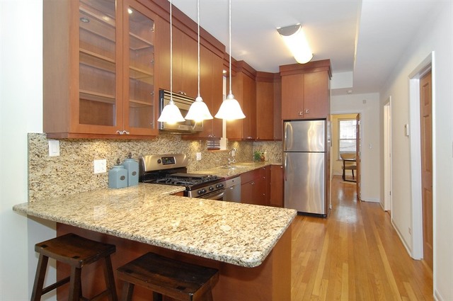 913 West Irving Park Road, Unit 1E Chicago, IL 60613 - Photo 7 of 20