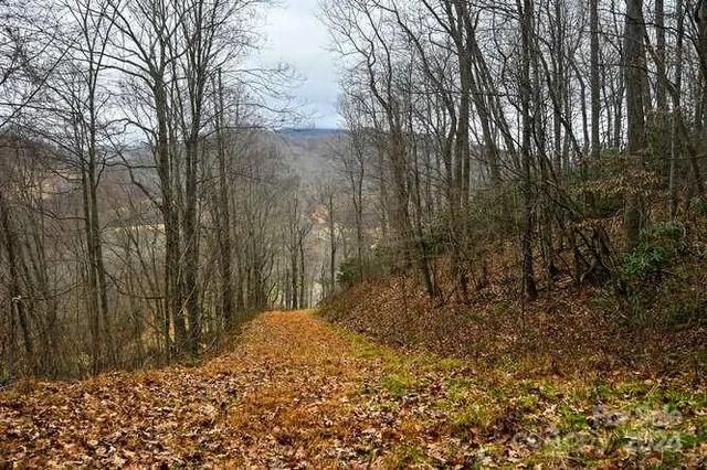 a view of a backyard of the house