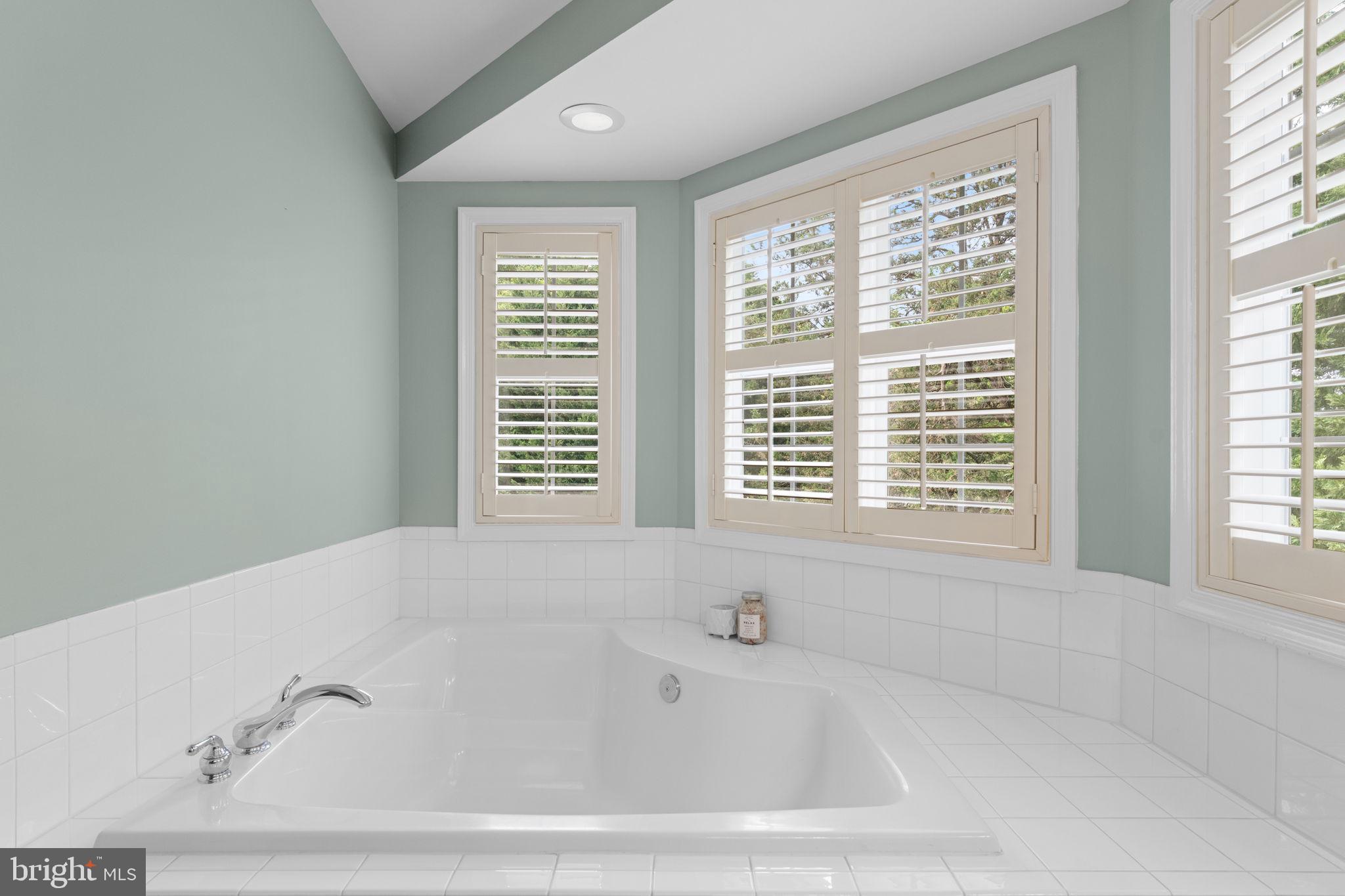 7366 Stream Bluff Way Springfield, VA 22153 - Photo 21 of 46 Primary bath with soaking tub