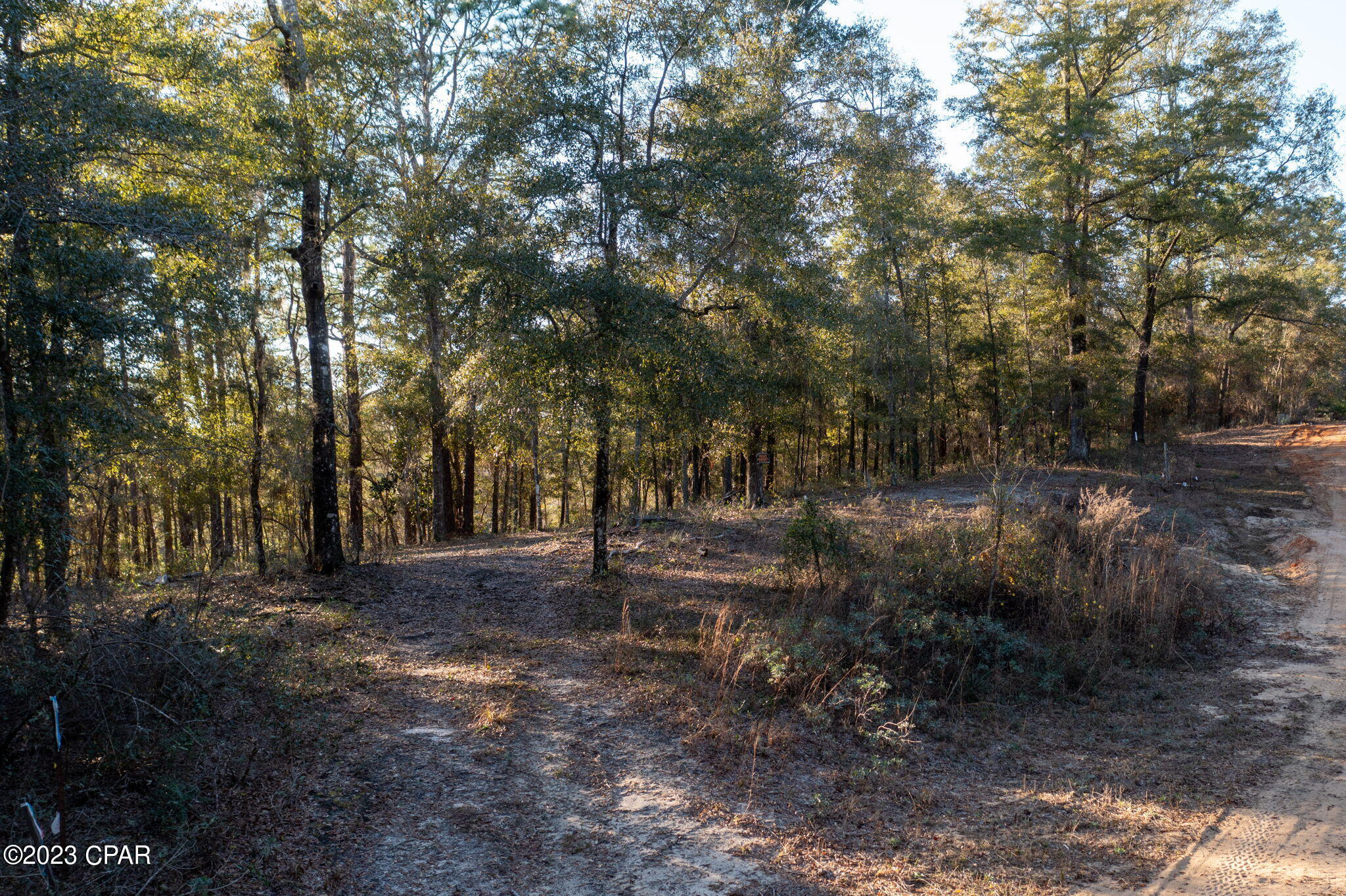 Lot 11 Bent Oaks Road Chipley, FL 32428 - Photo 2 of 15