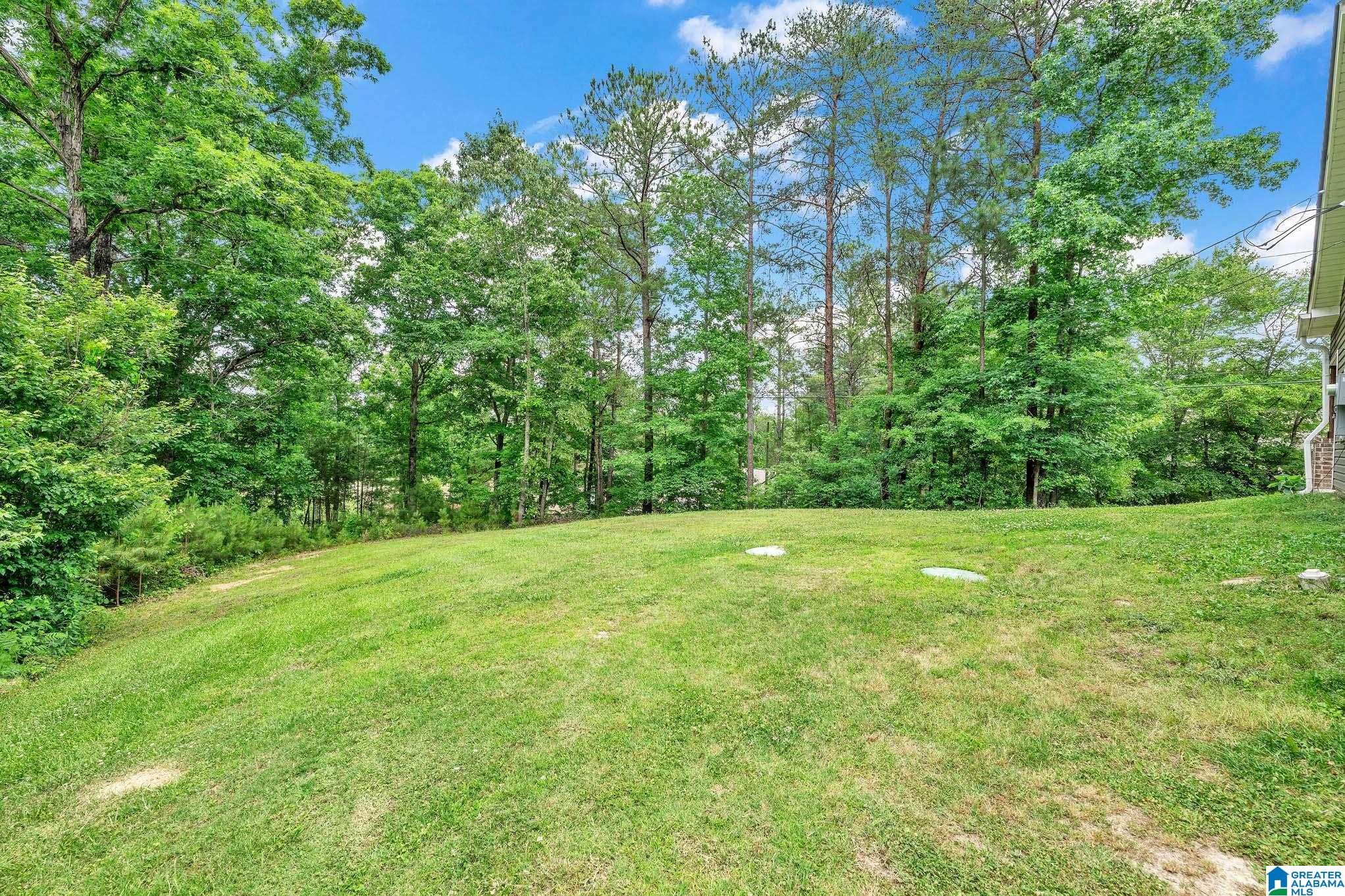 2547 Summit Park Road Odenville, AL 35120 - Photo 27 of 29 Gallery Image 27