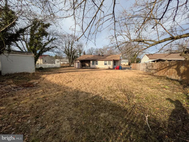 a view of a yard with trees