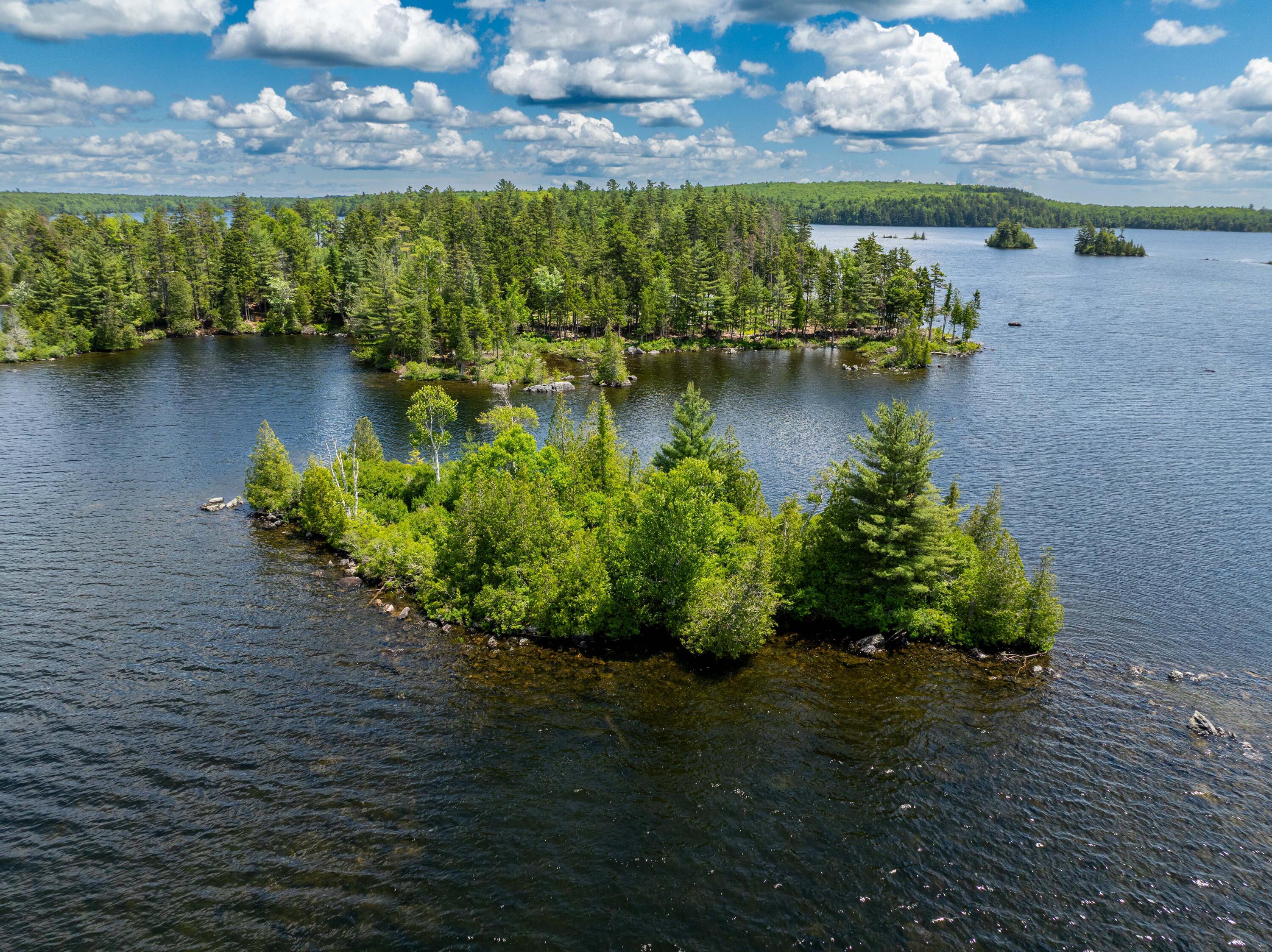 313 Birch Pt Road Cooper, ME 04657 - Photo 33 of 50 Lot H - Lot 049-15-8 Cathance Lake , Co